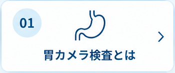 1. 胃カメラ検査とは